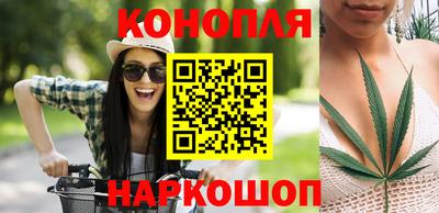 эйфоретик Малгобек