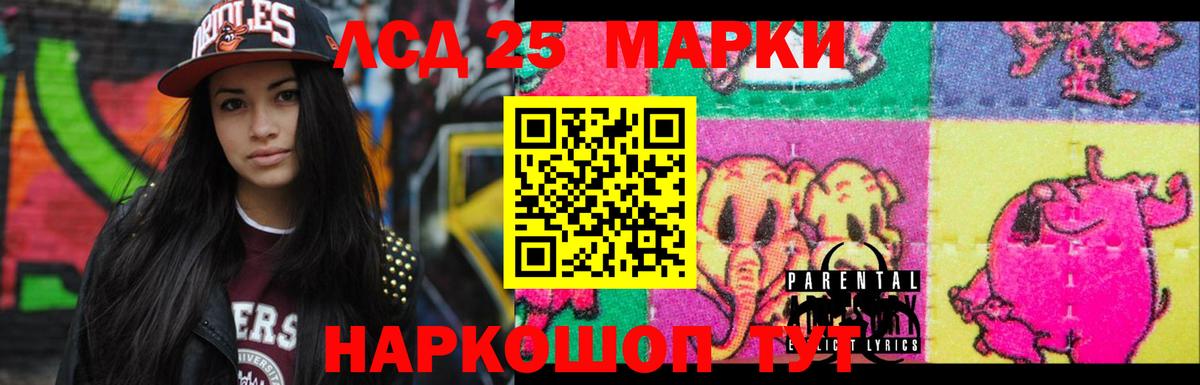 Бердск  ЛСД экстази  Вход с VPN  Лсд 25 экстази кислота  LSD-25 экстази ecstasy 