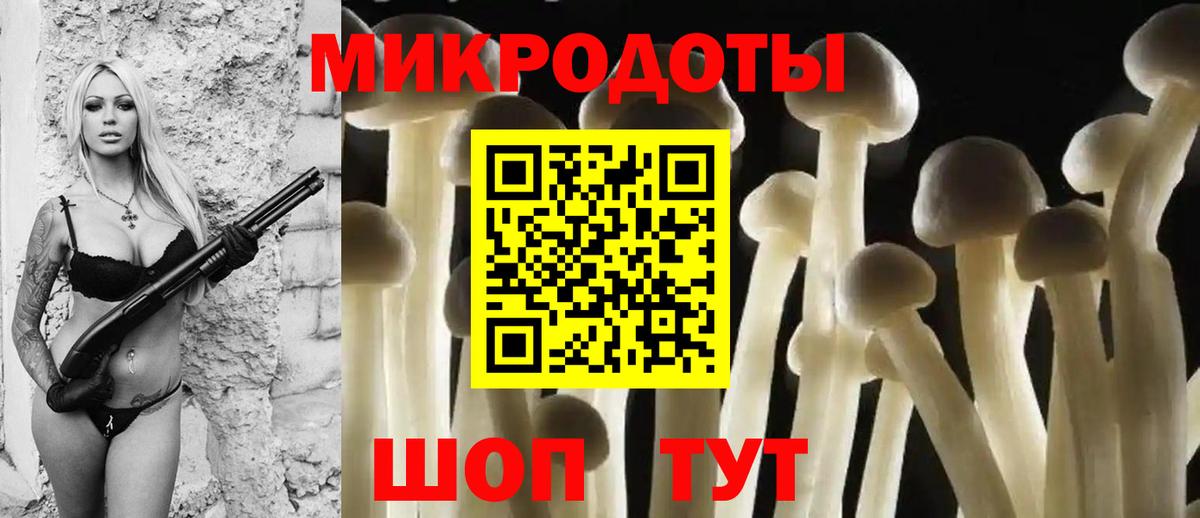 Псилоцибиновые грибы MAGIC MUSHROOMS  Вход с VPN  Галлюциногенные грибы прущие грибы  Бердск 